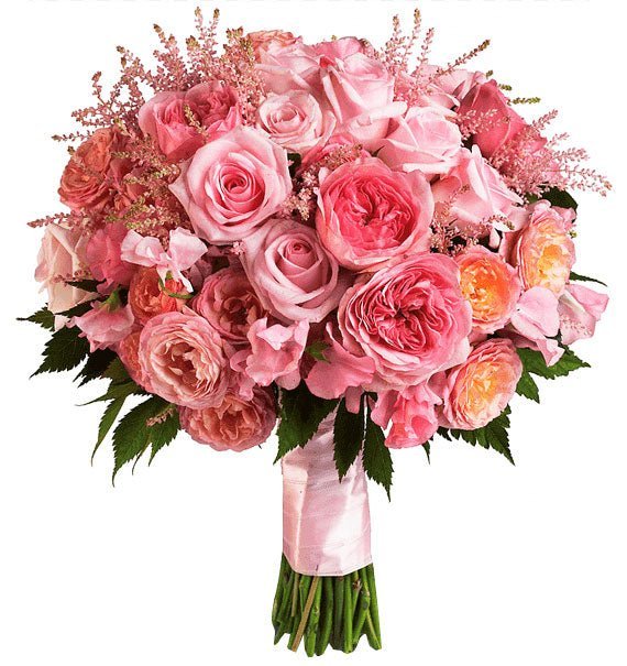 Hơi Ấm Mùa Thương