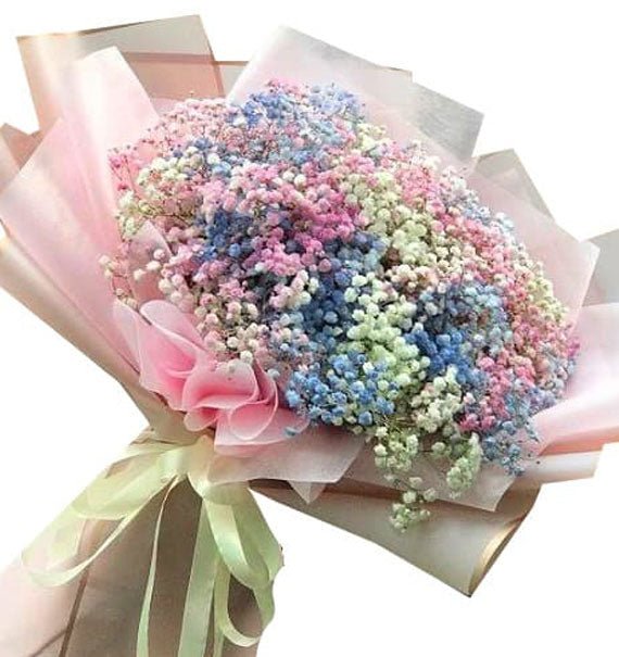 Hơi Thở Cầu Vồng