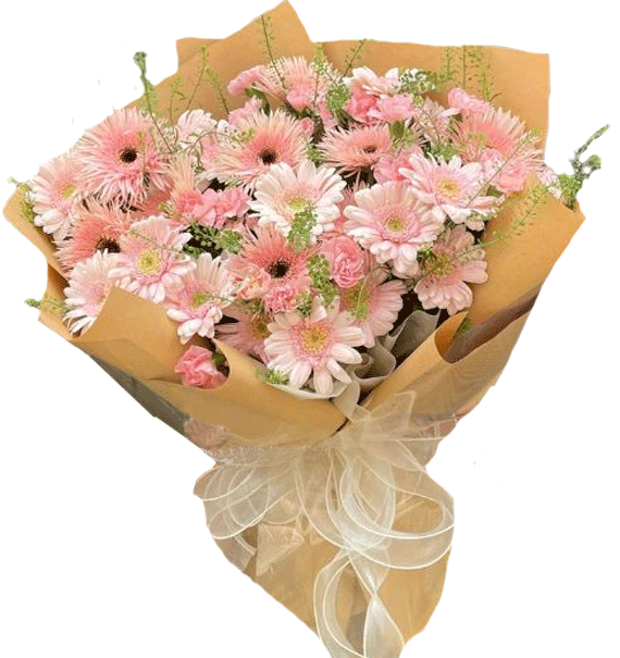 Hơi Thở Màu Hồng