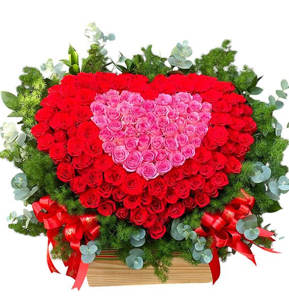 Hơn Cả Yêu - Hoa Sài Gòn