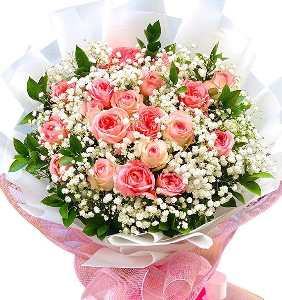 Hồng Dâu Dịu Êm