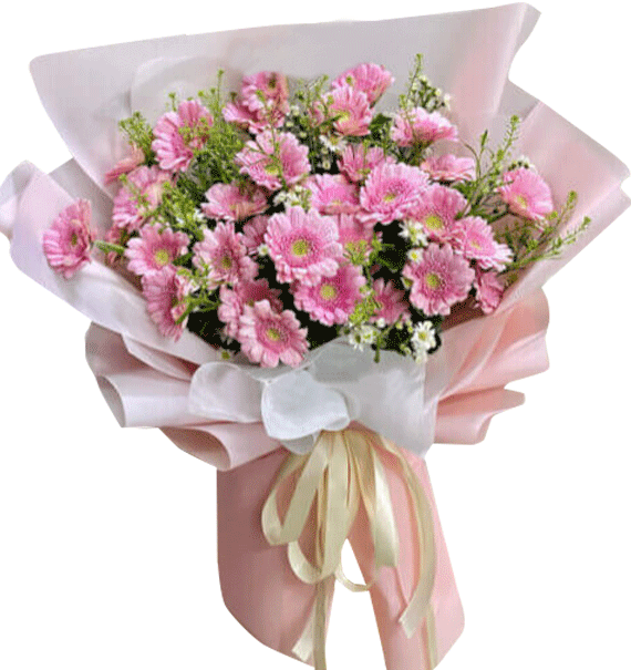 Hồng Dịu Mĩm Cười