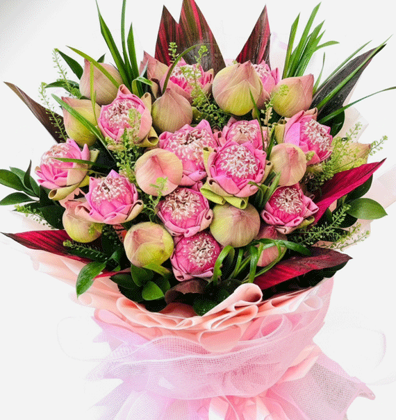 Hồng Liên An Nhiên