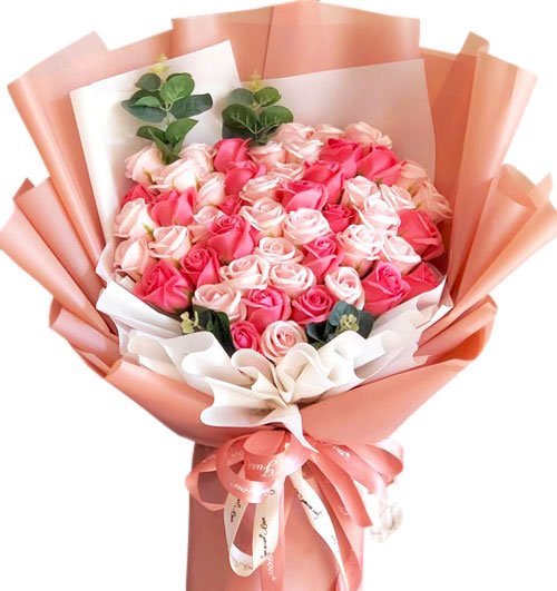 Hồng Phấn Mộng Mơ