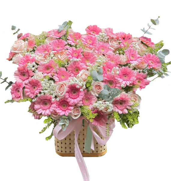 Hồng Thương Nhớ