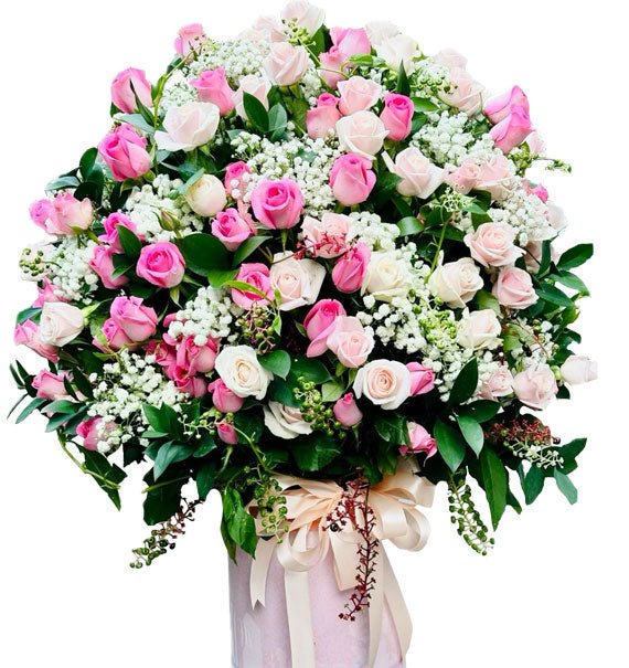 Hồng Xinh - Hoa Sài Gòn