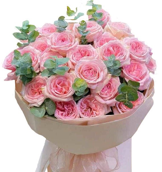 Hồng Yến Thanh Xuân