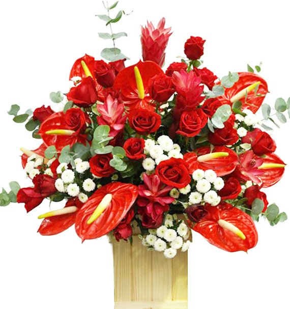 Hưng Thịnh - Hoa Sài Gòn