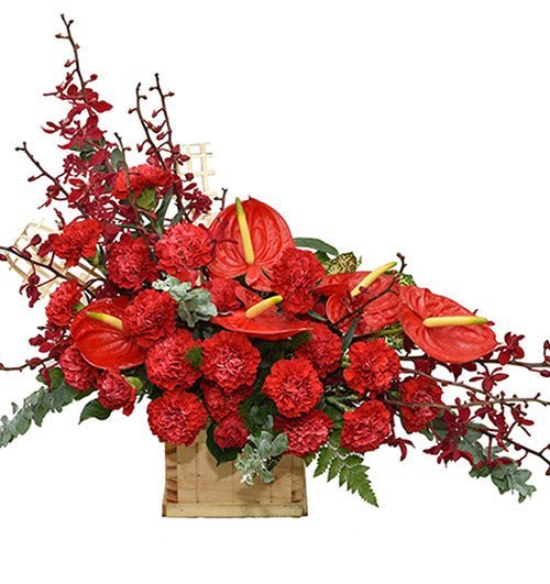 Hưng Thịnh Khai Trương