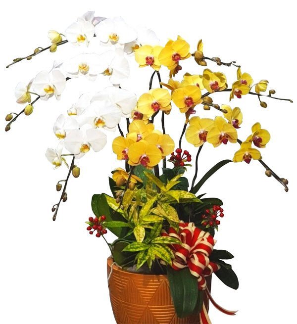 Hưng Vượng Trường Tồn