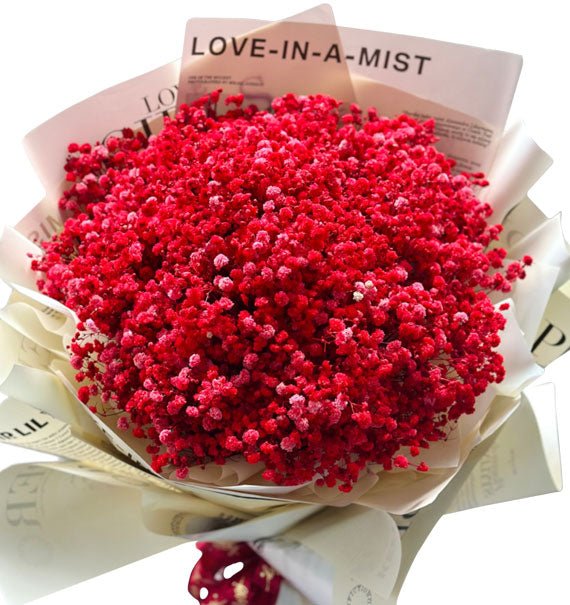 Hương Đỏ Dịu Dàng