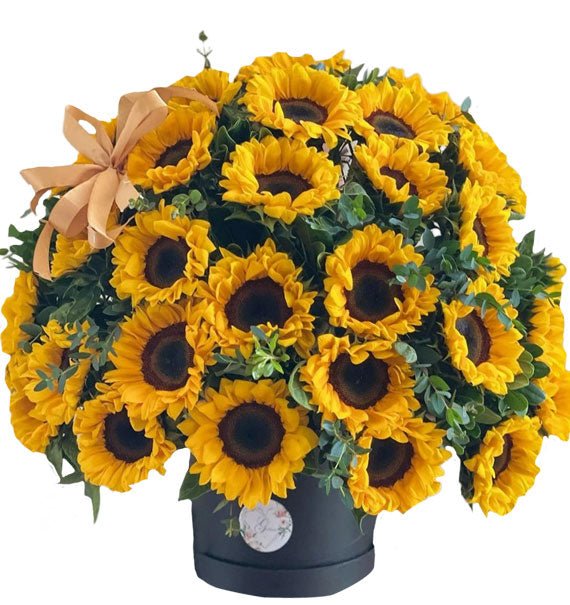 Hướng Dương Thanh Lịch