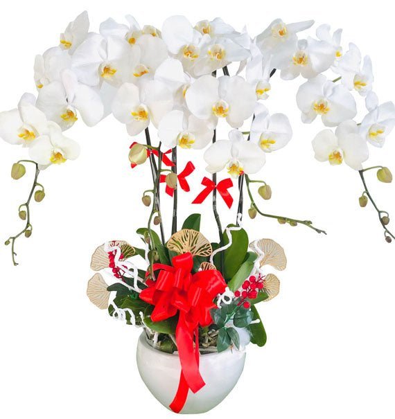 Hương Hoa Tỏa Sáng