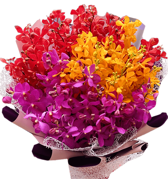 Hương Lan Qúy Phái