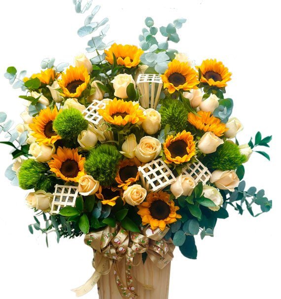 Hương Nắng Ngày Mới