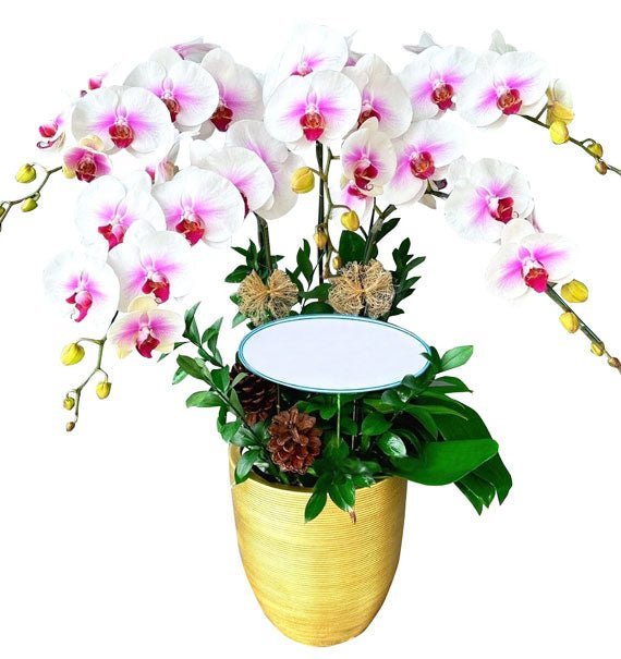 Hương Sắc Ngũ Phúc