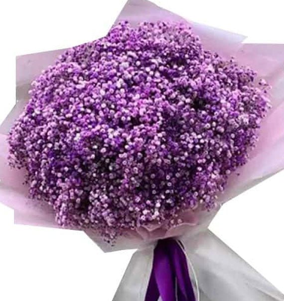 Hương Tím Nhỏ - Hoa Sài Gòn