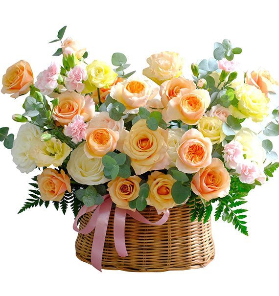 Hương Tình Mẹ Dịu Dàng