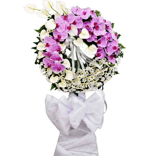 Hương Tình Vĩnh Cửu - Hoa Sài Gòn