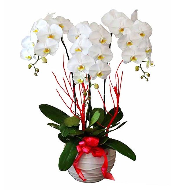 Hưởng Vạn Niềm Vui