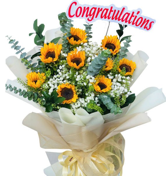 Hướng Về Ánh Sáng