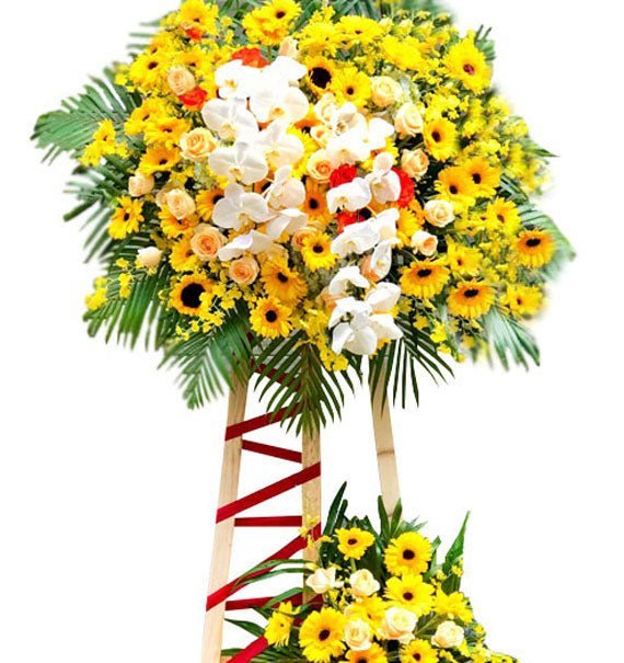 ke go dong tien va ho diep