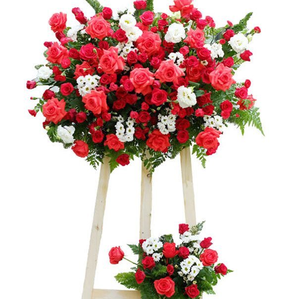 ke go hong va cam chuong do