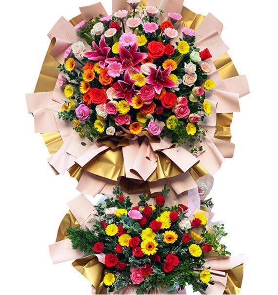 ke hoa hong dong tien ly