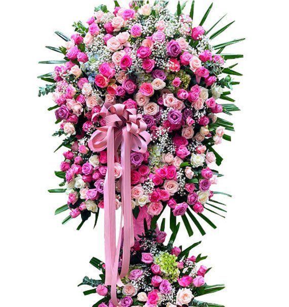 ke khai truong hoa hong vip