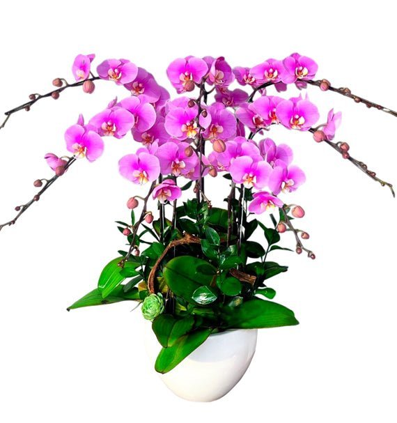 Khai Nghiệp Vạn Lộc