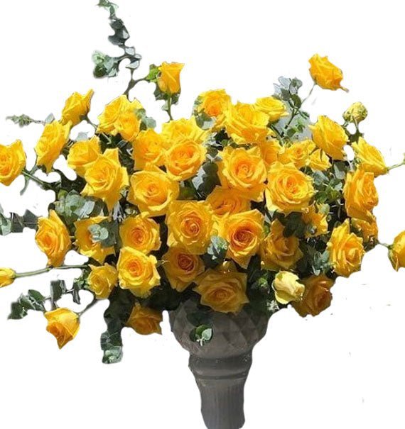 Khai Trương Vạn Lợi - Hoa Sài Gòn