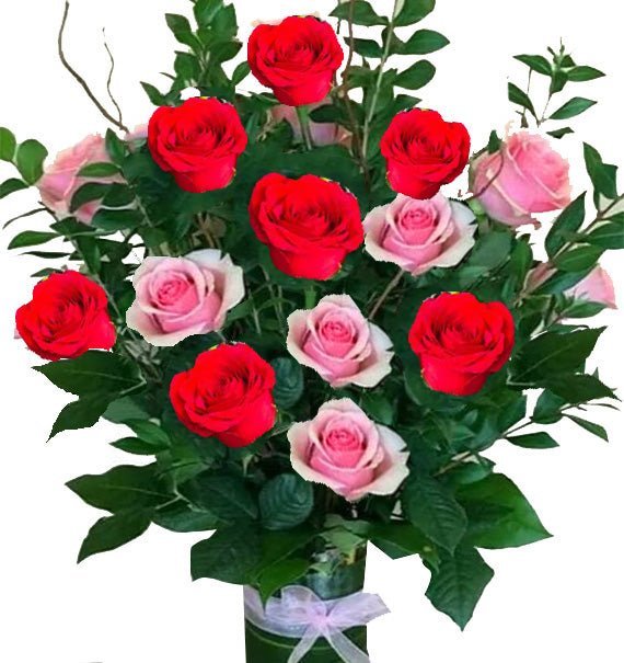 Khai Trương Vững Tiến - Hoa Sài Gòn