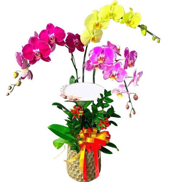 Khai Xuân Thịnh Vượng