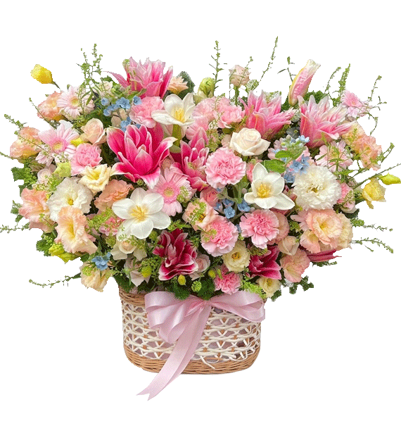 Khoảnh Khắc Dịu Dàng