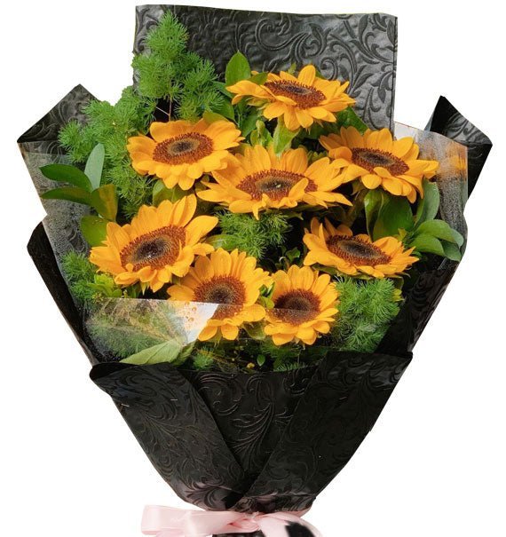 Khoảnh Khac Rạng Rỡ