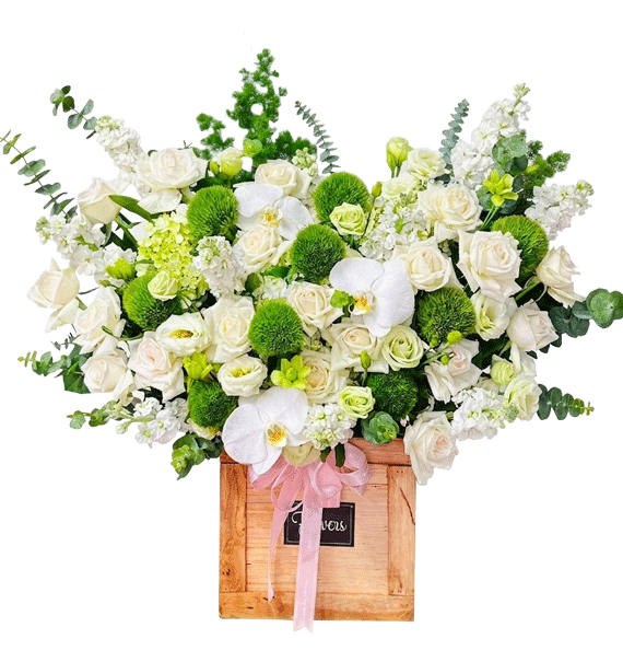 Khoảnh Khắc Yêu Thương