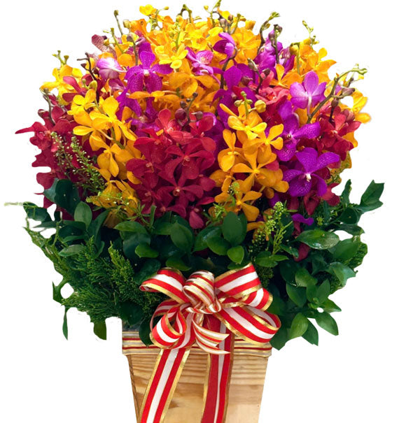 Khởi Sắc Bình An