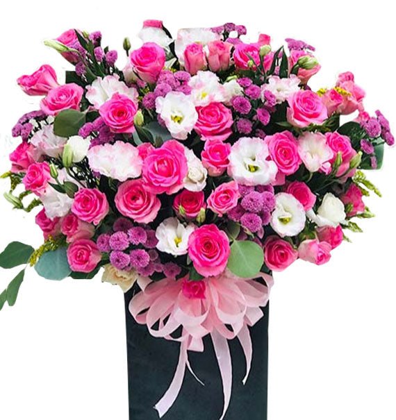 Khởi Sắc - Hoa Sài Gòn