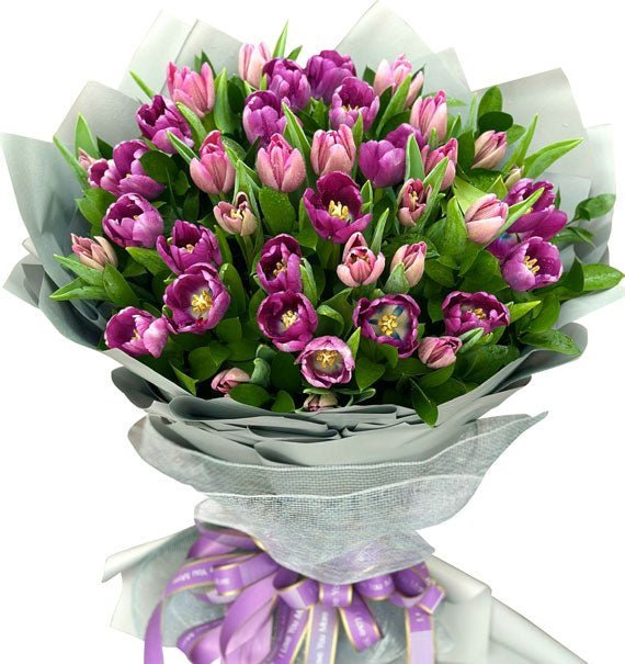 Khúc Tình Ca Màu Tím