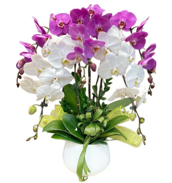 Kim Ngọc Trường Xuân