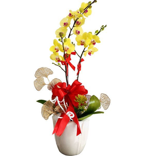 Kim Vượng Hưng Thịnh