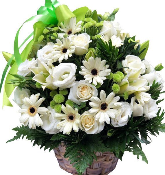 Kính Dâng Hương Hồn Người Quá Cố - Hoa Sài Gòn