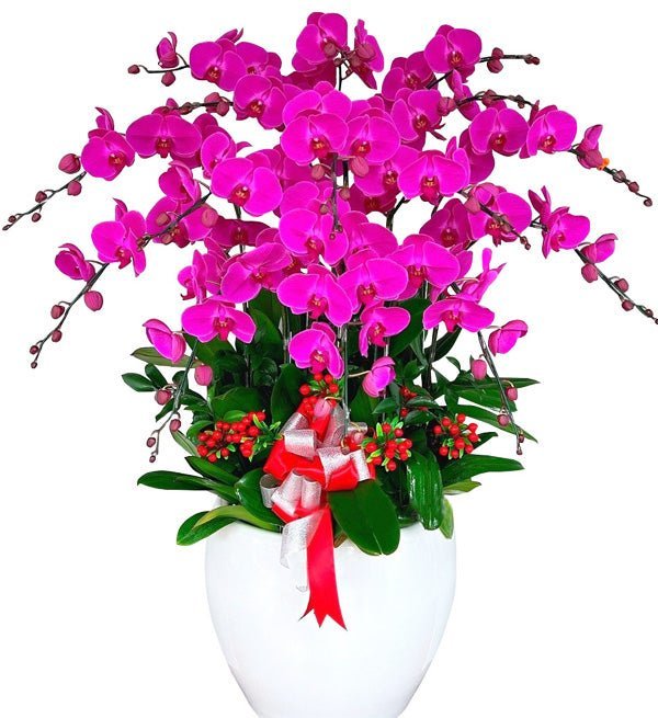 Lan Lộc Trường Tồn