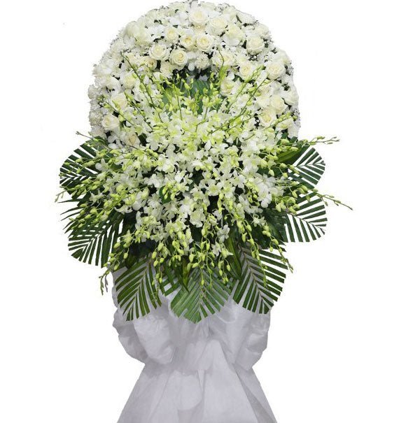 Lặng - Hoa Sài Gòn