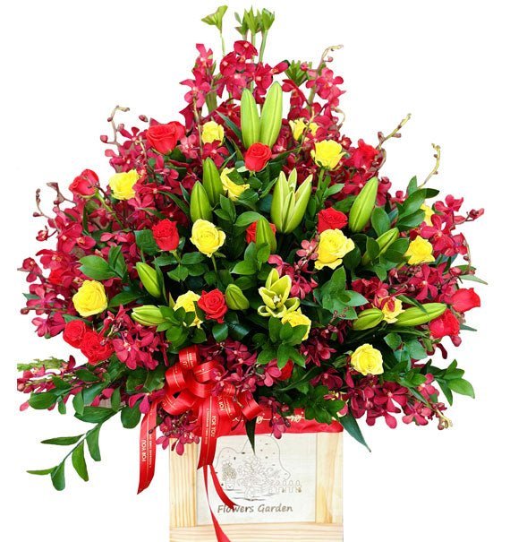 Lẵng Hoa Lan Đỏ Chúc Mừng - Hoa Sài Gòn