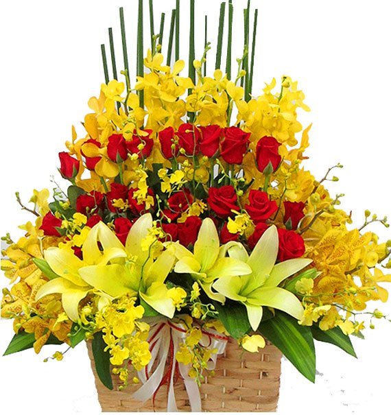 Lộc Nở Ngày Khai Trương - Hoa Sài Gòn