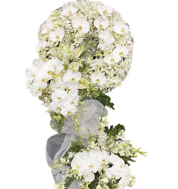 Lời An Ủi - Hoa Sài Gòn