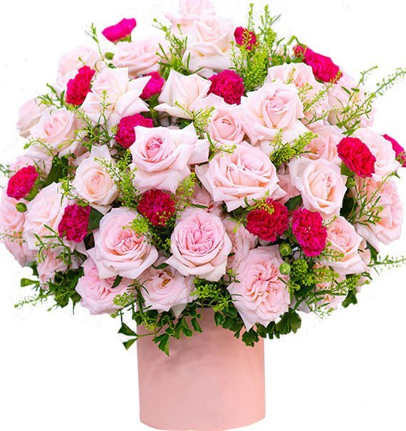 Lời Chúc Đầu Mùa