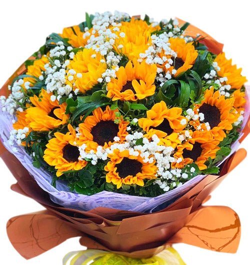 Lỗi Lầm Của Mặt Trời