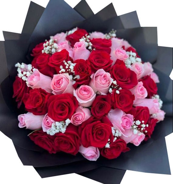 Love Hope - Hoa Sài Gòn